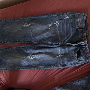 American Eagle Outfitters Light Blue Denim